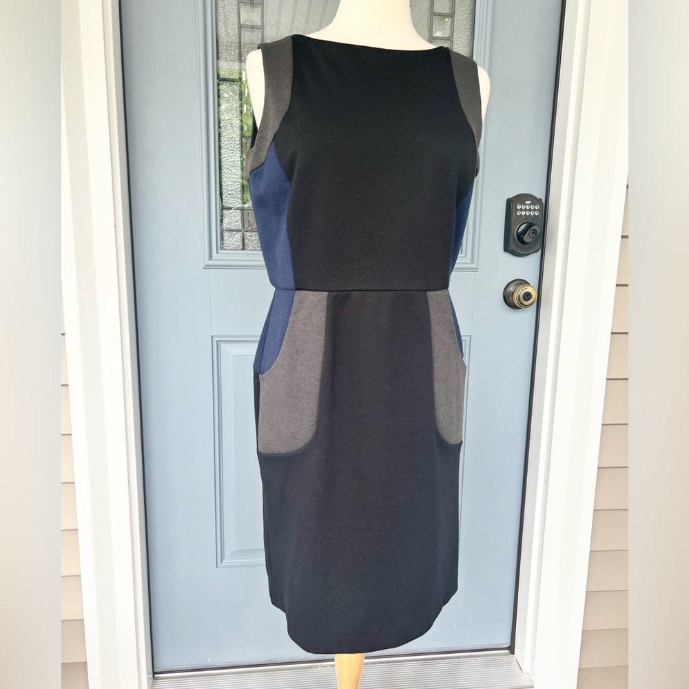 Dana Buchman Colorblock Dress
